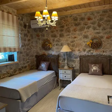 Βίλα Villa Ariti